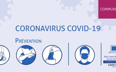 PERTURBATION CORONAVIRUS