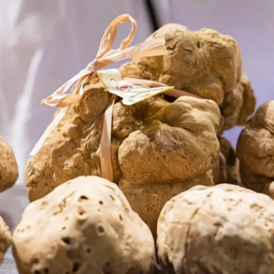LA TRUFFE D'ITALIE