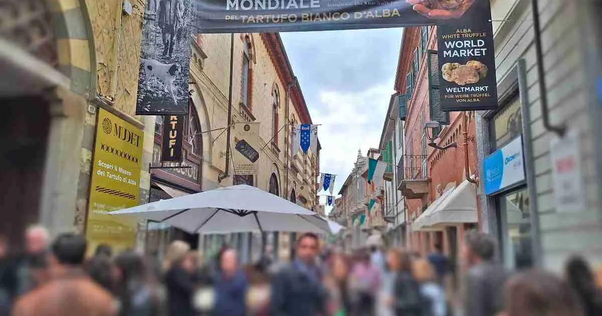 LA TRUFFE D'ITALIE – Image 2