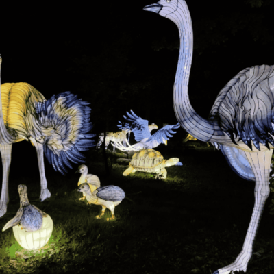 LUMIĒRE À PEAUGRES