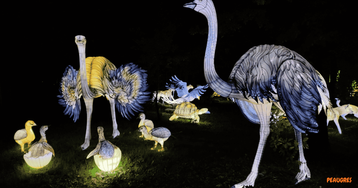 LUMIĒRE À PEAUGRES